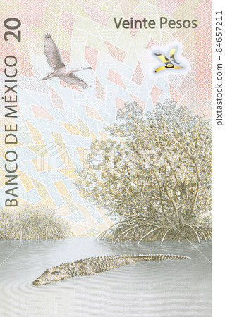 Mexican crocodile and roseate spoonbill from Mexican money Mexican crocodile and roseate spoonbill from Mexican money 84657211