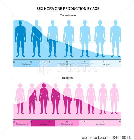 Testosterone estrogen level 84658038