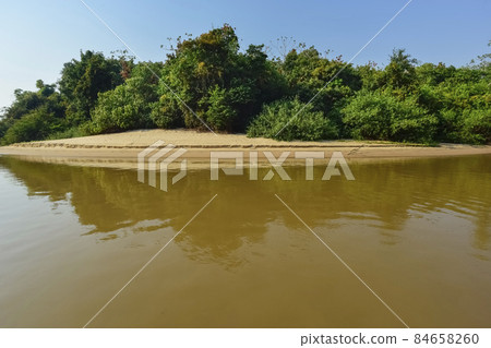 River landscape and jungle,Pantanal, Brazil River landscape and jungle,Pantanal, Brazil 84658260