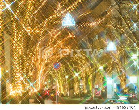 Illuminations on Keyaki-dori, Niigata City 84658404