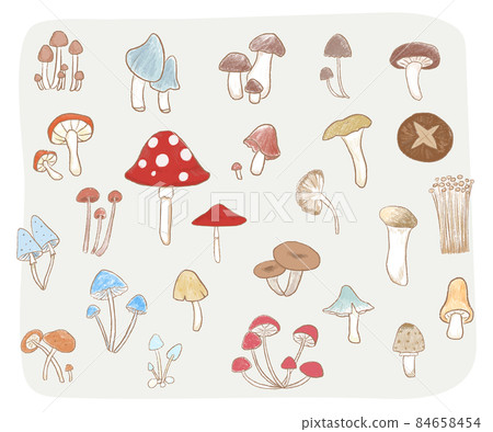 Set of cute isolated hand drawn different mushrooms 84658454
