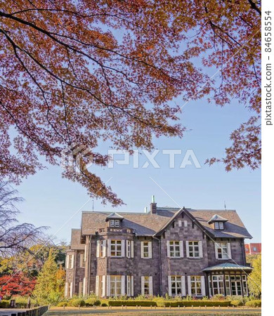 西式建築和秋景 * 垂直矩形構圖 西式建築和秋景 * 垂直矩形構圖 84658554