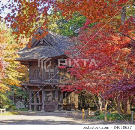 漂亮的秋葉風景 * 水平矩形構圖 84658627