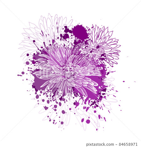 Aster flowers with purple blots. Vector illustration Aster flowers with purple blots. Vector illustration 84658971