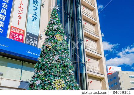 【聖誕素材】聖誕樹【長野】 【聖誕素材】聖誕樹【長野】 84659391
