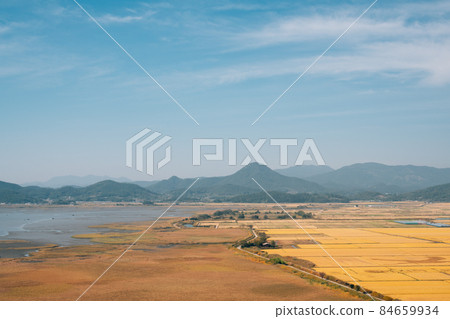 Panoramic view of Suncheonman Bay wetland at autumn in Suncheon, Korea 84659934
