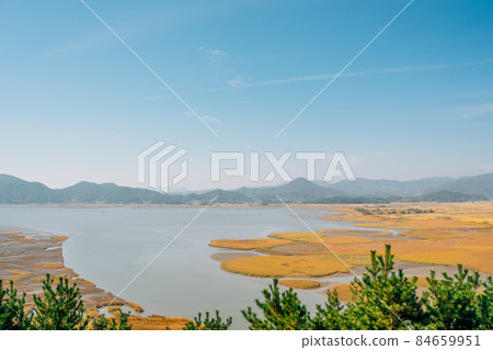 Panoramic view of Suncheonman Bay wetland at autumn in Suncheon, Korea Panoramic view of Suncheonman Bay wetland at autumn in Suncheon, Korea 84659951