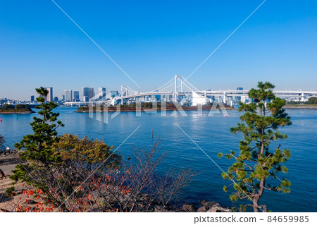 從台場到東京灣的彩虹橋(東京都港區) 從台場到東京灣的彩虹橋(東京都港區) 84659985