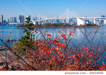 從台場到東京灣的彩虹橋(東京都港區) 從台場到東京灣的彩虹橋(東京都港區) 84659986