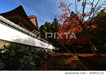 Autumn leaves of the solemn temple Autumn leaves of the solemn temple 84660118
