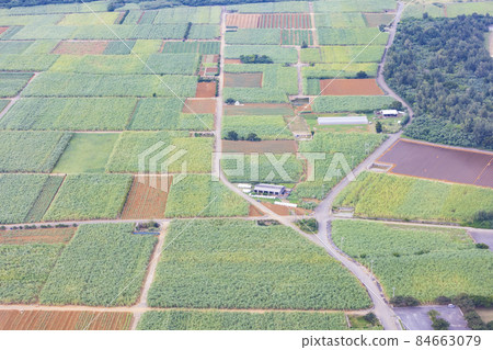 Aerial view of the fields of Miyakojima Aerial view of the fields of Miyakojima 84663079