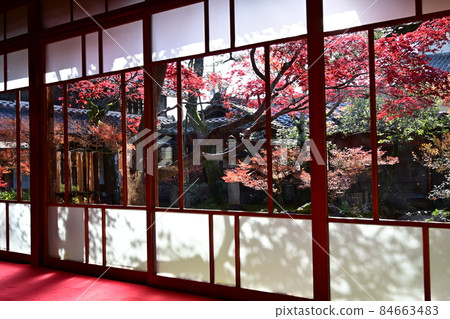 Japanese garden (Minoji / Okoshi-juku) Autumn leaves and window frame 84663483