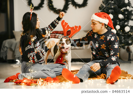 Cute couple sitting at home near christmas tree 84663514