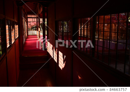 Japanese garden (Minoji / Okoshi-juku) Autumn leaves and corridors 84663757