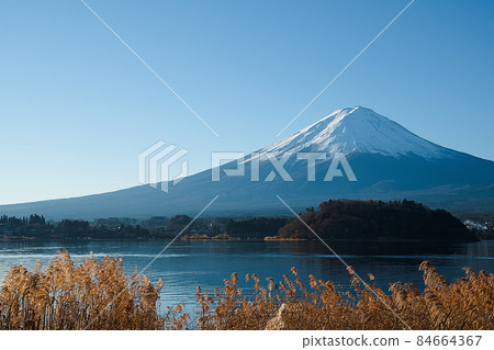 Fuji seen from Oishi Park Fuji seen from Oishi Park 84664367