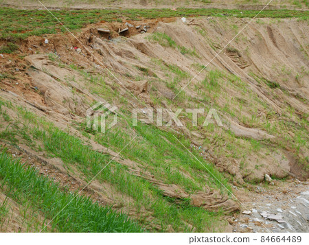 Permanent slope protection with grass using the hydroseed method. The grass is used to stabilize the slope structure and prevent slope erosion. Effective and less maintenance. Permanent slope protection with grass using the hydroseed method. The grass is used to stabilize the slope structure and prevent slope erosion. Effective and less maintenance. 84664489