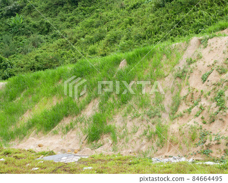 Permanent slope protection with grass using the hydroseed method. The grass is used to stabilize the slope structure and prevent slope erosion. Effective and less maintenance. Permanent slope protection with grass using the hydroseed method. The grass is used to stabilize the slope structure and prevent slope erosion. Effective and less maintenance. 84664495