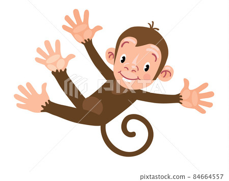 Little funny monkey 84664557