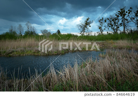 Dark clouds over the pond with reeds Dark clouds over the pond with reeds 84664619