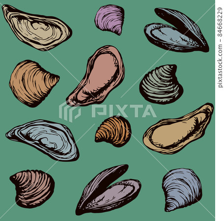 Oyster. Vector drawing Oyster. Vector drawing 84668229