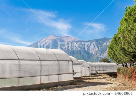 agricultural polytunnels in a mountain valley 84668965