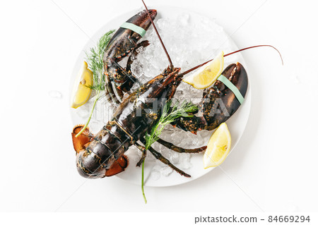 Fresh lobster isolated on white 84669294