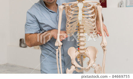 Doctor man pointing on ribs of human skeleton anatomical model. Physiotherapist explaining joints model. Chiropractor or osteopath points to the skeleton of human body. Bones anatomy close up. Doctor man pointing on ribs of human skeleton anatomical model. Physiotherapist explaining joints model. Chiropractor or osteopath points to the skeleton of human body. Bones anatomy close up. 84669755