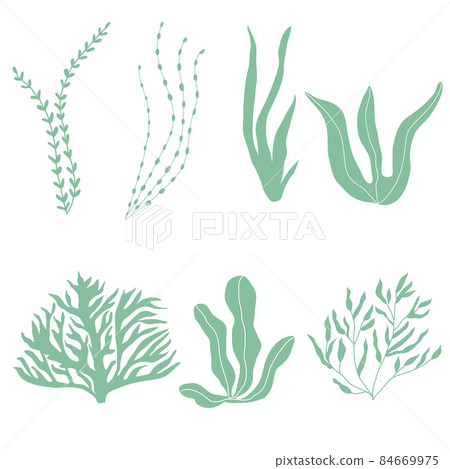Collection of underwater seaplants and corals, set with marine plants for fabric, textile, wallpaper, nursery decor, prints, childish background. Vector botanical flora Collection of underwater seaplants and corals, set with marine plants for fabric, textile, wallpaper, nursery decor, prints, childish background. Vector botanical flora 84669975