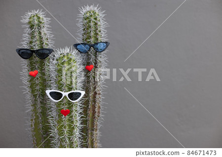 Fun and cool three cactuses with the sunglasses and red lips. Fun and cool three cactuses with the sunglasses and red lips. 84671473