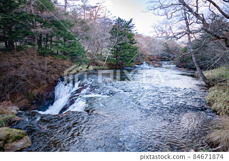 Yukawa flowing through the Senjogahara hiking course Yukawa flowing through the Senjogahara hiking course 84671874
