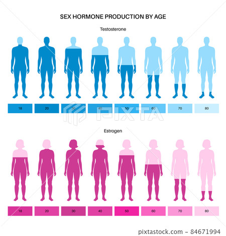 Testosterone estrogen level 84671994