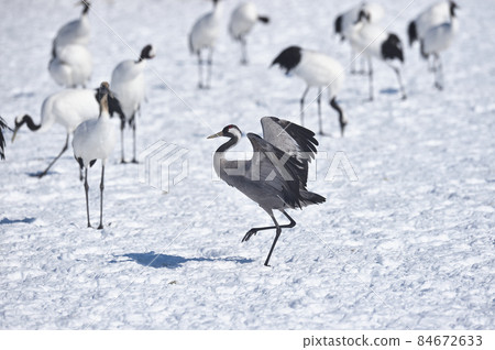 不尋常！爬入一組日本起重機（北海道） 84672633