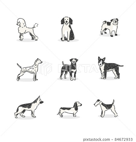 Stylish dog avatar (illustration icon) Stylish dog avatar (illustration icon) 84672933