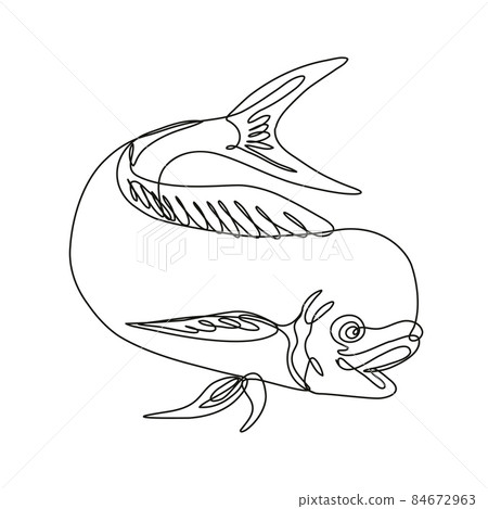 Dorado Dolphin Fish or Mahi Mahi Jumping Down Continuous Line Drawing Dorado Dolphin Fish or Mahi Mahi Jumping Down Continuous Line Drawing 84672963