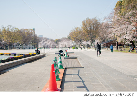 櫻花盛開的上野站公園 / 東京都台東區 櫻花盛開的上野站公園 / 東京都台東區 84673107