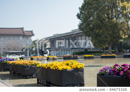 春天上野站公園 / 東京都台東區 84673108