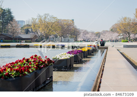 春天上野站公園 / 東京都台東區 春天上野站公園 / 東京都台東區 84673109