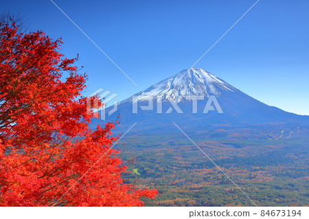 從山梨縣南鶴郡鳴澤村光葉台展望台眺望富士山和秋葉 從山梨縣南鶴郡鳴澤村光葉台展望台眺望富士山和秋葉 84673194