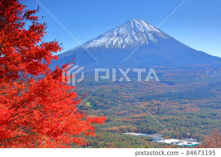 從山梨縣南鶴郡鳴澤村光葉台展望台眺望富士山和秋葉 從山梨縣南鶴郡鳴澤村光葉台展望台眺望富士山和秋葉 84673195