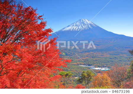 從山梨縣南鶴郡鳴澤村光葉台展望台眺望富士山和秋葉 從山梨縣南鶴郡鳴澤村光葉台展望台眺望富士山和秋葉 84673196