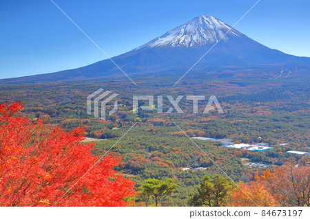 從山梨縣南鶴郡鳴澤村光葉台展望台眺望富士山和秋葉 從山梨縣南鶴郡鳴澤村光葉台展望台眺望富士山和秋葉 84673197