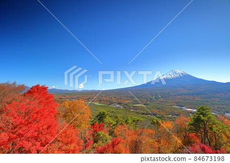 從山梨縣南鶴郡鳴澤村光葉台展望台眺望富士山和秋葉 從山梨縣南鶴郡鳴澤村光葉台展望台眺望富士山和秋葉 84673198