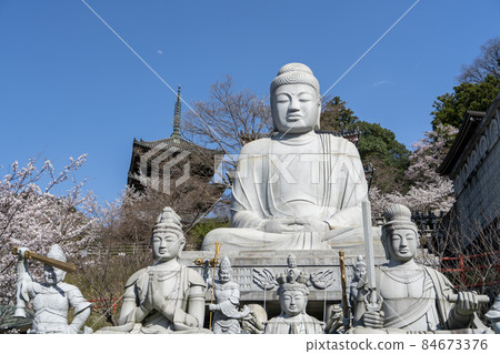 奈良坪坂寺的春天 84673376