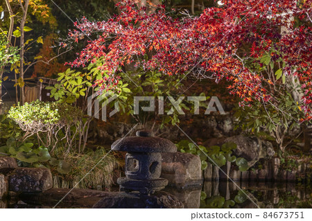 Lighting up Hase Temple 84673751