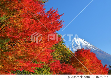 Nishiko, Fujikawaguchiko-cho, Minamitsuru-gun, - Stock