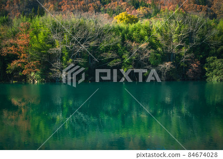 深秋的西川[東久馬郡生坂村] 84674028