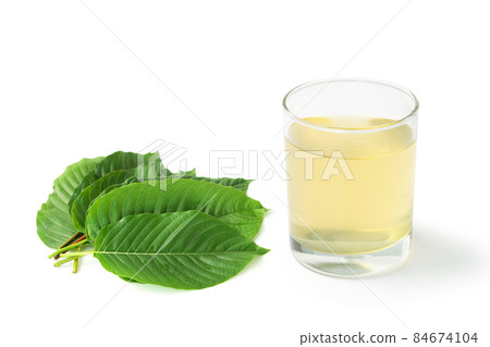 Closeup glass of Mitragyna speciosa Korth tea (Kratom) with fresh green leaves isolated on white background, health care and medical concept Closeup glass of Mitragyna speciosa Korth tea (Kratom) with fresh green leaves isolated on white background, health care and medical concept 84674104