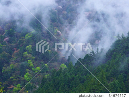 A mountain ridge that springs in the fresh green mountains 84674537