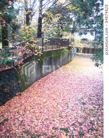 Fall of Musashi Kinen Park 84674828