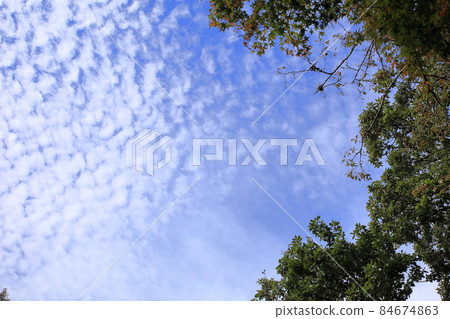 清爽的秋空 84674863